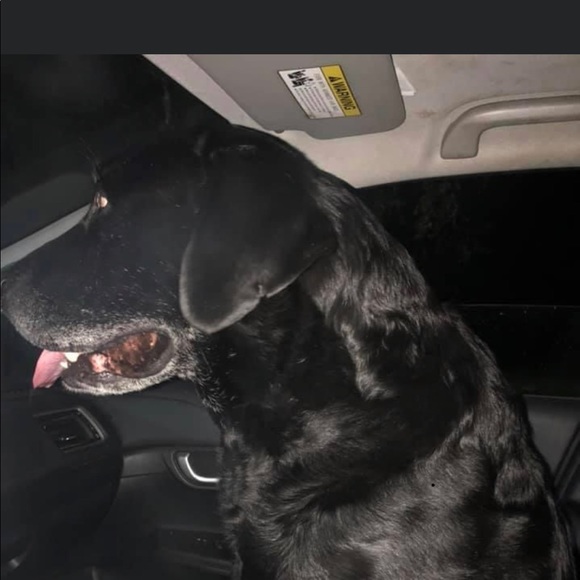 Meet your Posher, Eric - Picture 1 of 1